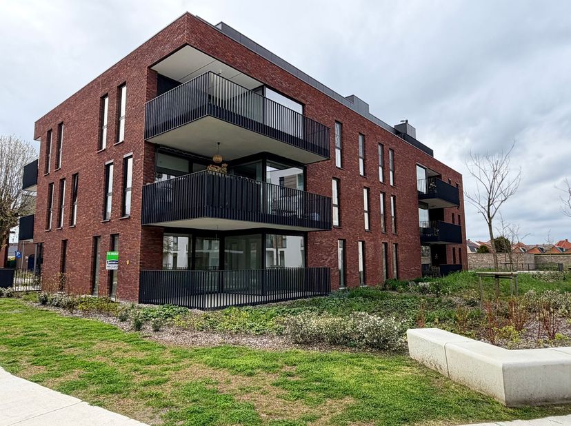 Appartement à louer
                    à 3960 Bree