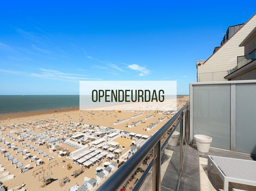 OPENDEURDAG ZATERDAG 08/08 van 14u tot 16u<br />
<br />
Dit recent (2026) gerenoveerd appartement is gelegen op de bovenste (9de) verdieping en beschi