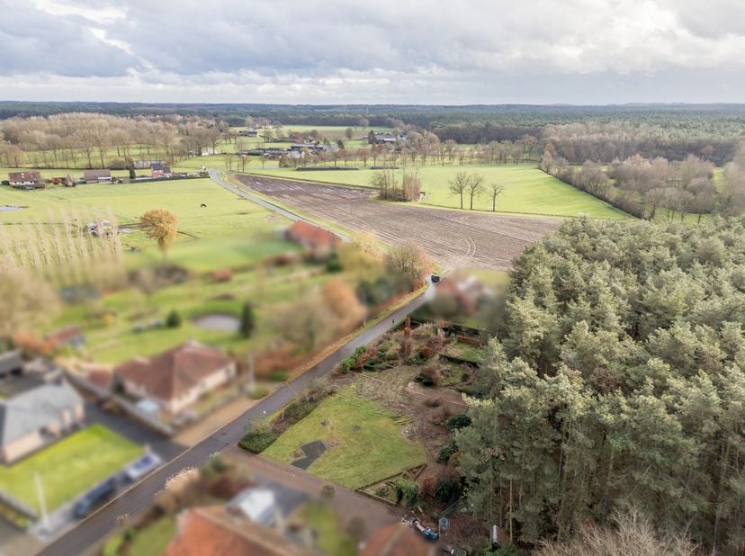 Terrain à vendre
                    à 3980 Tessenderlo