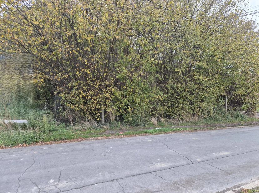 Dit perceel bouwgrond ligt aan het begin van de rustige Steengrachtstraat in Zoutleeuw. De bouwgrond bestaat uit een reeds gevormd perceel van 742 m²