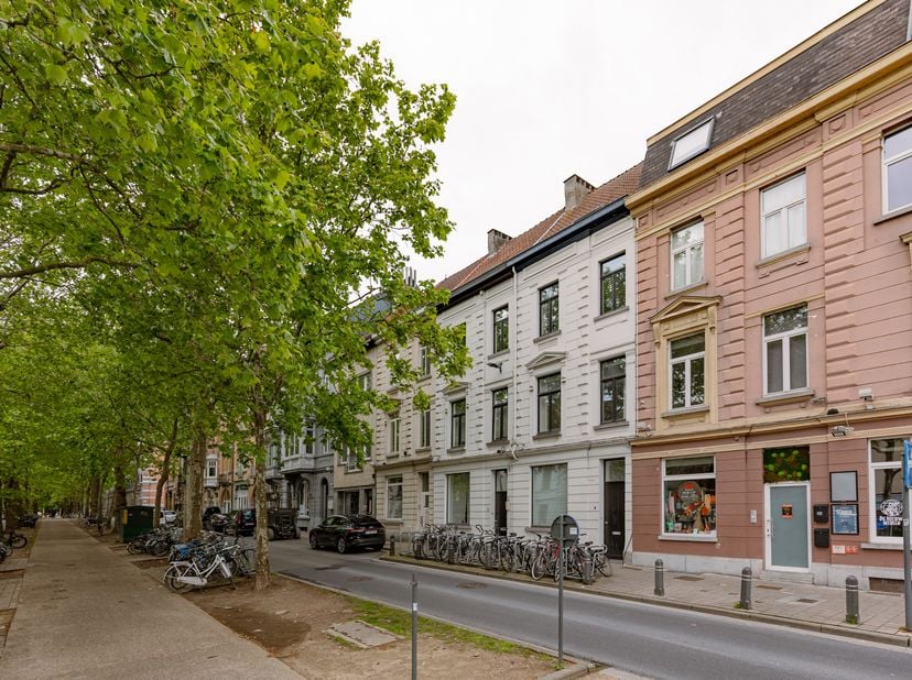 In de Kunstlaan bevindt zich dit statige herenhuis vol authentieke charme. Dankzij de centrale ligging geniet u van een vlotte verbinding naar het cen