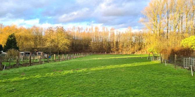 Grond te koop in Route de Frasnes, 7812 Mainvault