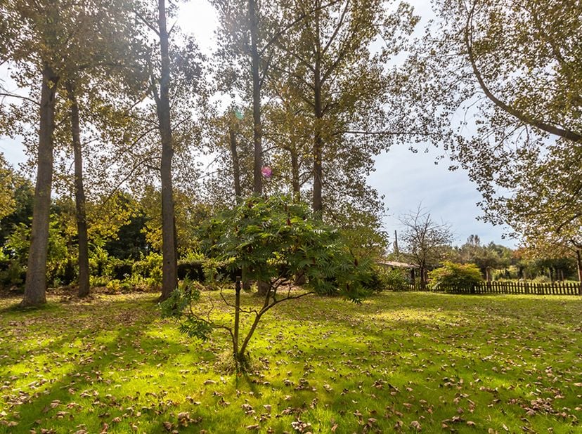 Maison à vendre
                    à 3470 Ransberg