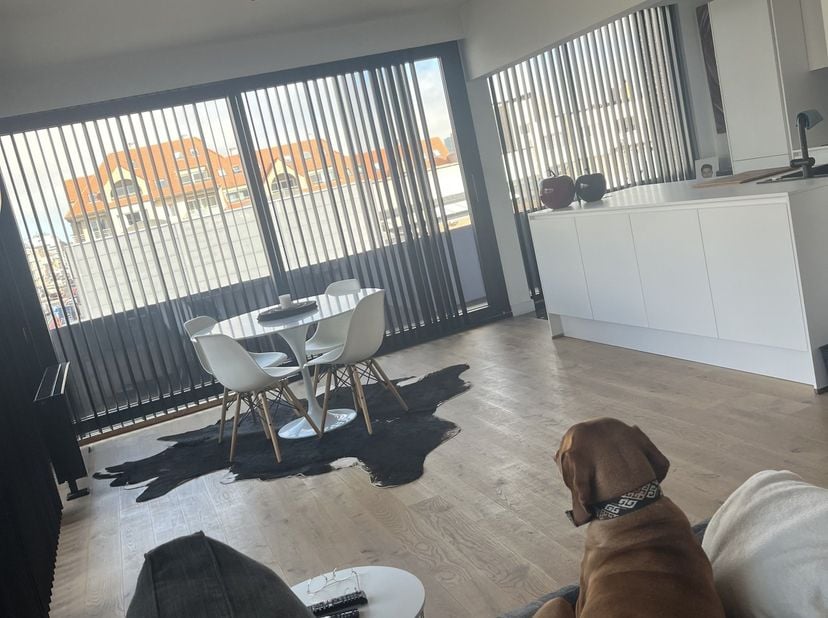 Appartement te koop 2de verdieping in heel verzorgd gebouw, volledig gerenoveerd, 3 volwaardige slaapkamers, met terras over de ganse living en keuken
