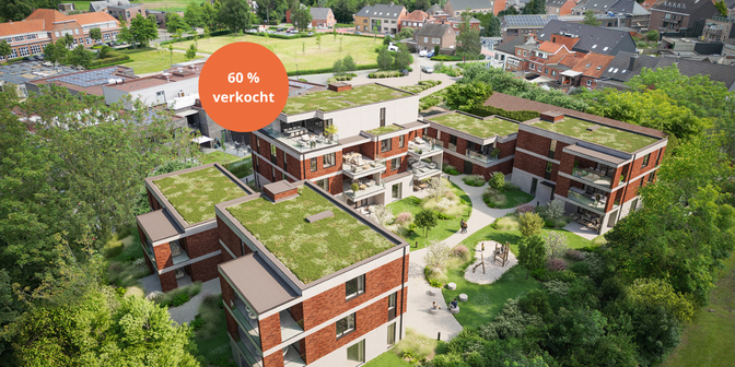 Projet à Gasthuisstraat 25, 2450 Meerhout