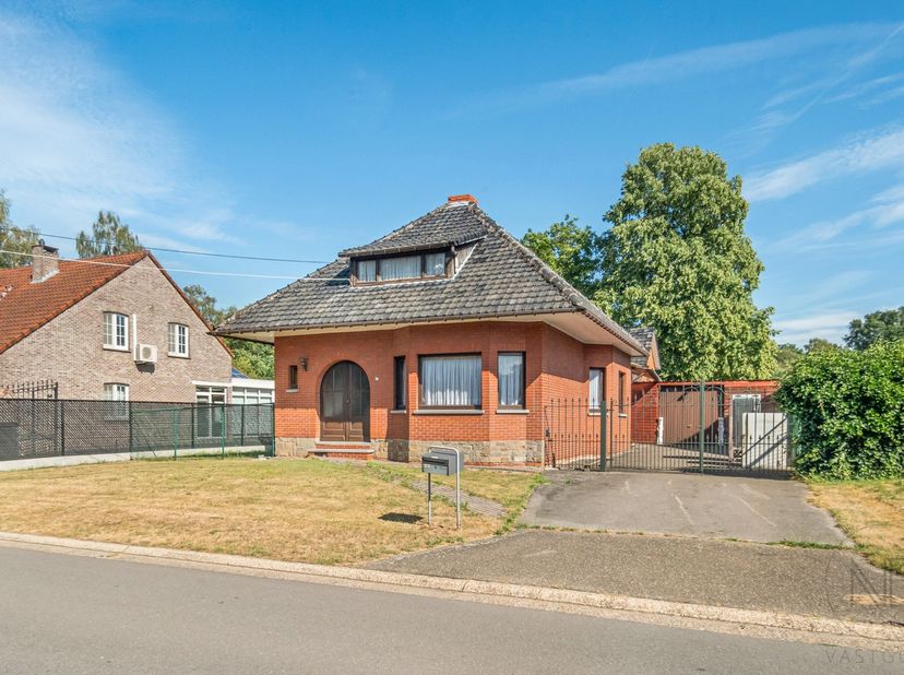 In de Dorpheidestraat in Diepenbeek geniet u van een rustige, familiale omgeving met alle dagdagelijkse benodigdheden in de omgeving (apotheek, superm