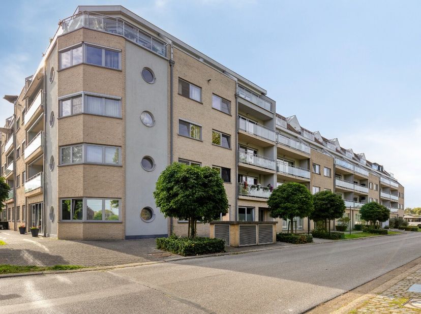 Appartement te koop in Rupellaan 1 bus 0331,
                    2830 Willebroek