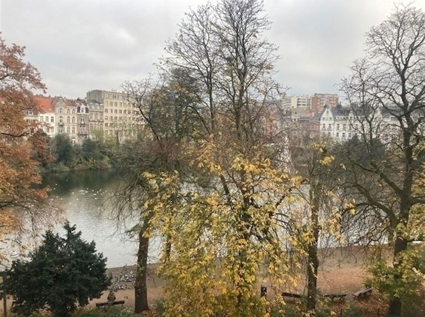Agréable studio non-meublé, situé au 7ème étage et avec jolie vue dégagée sur les squares. Living/ chambre donnant sur le Square Marie-Louise, cuisine