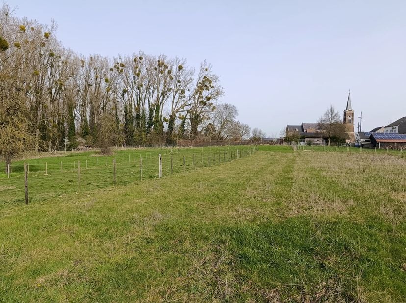 Zeldzame opportuniteit: ruime bouwgrond van 17a34ca voor halfopen bebouwing in Mopertingen.<br />
Dit perceel bied je alle vrijheid om een moderne gez