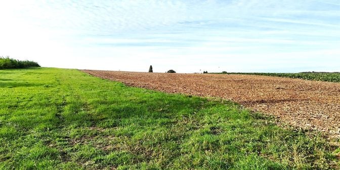 Terrain à vendre à chemin de bois le duc, 1420 Braine-l'Alleud