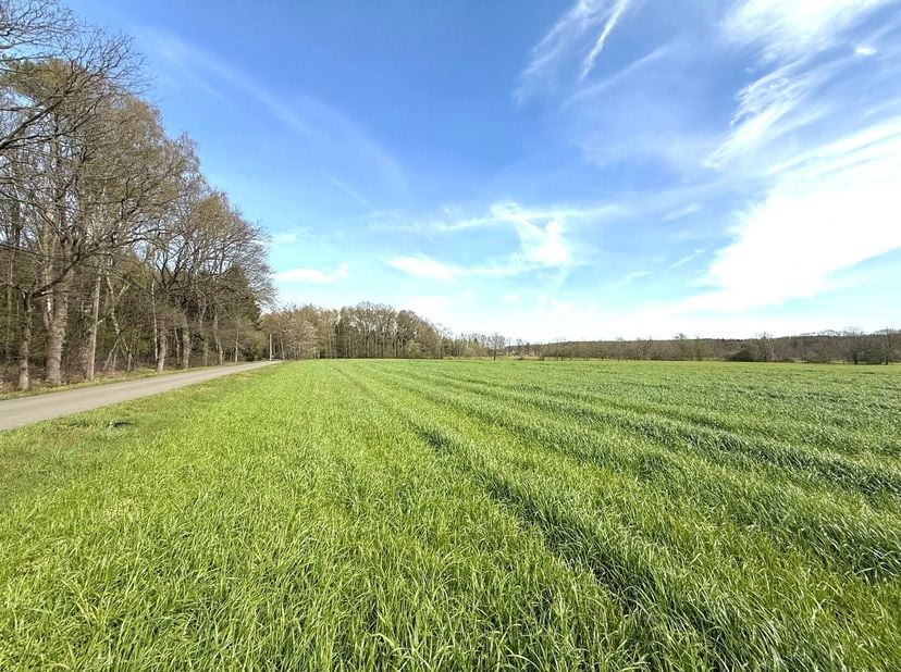 Drie percelen landbouwgrond met een totale oppervlakte van 18,632 hectare.<br />
De vermelde percelen zijn gelegen tussen de Jagersweg en Houterberg.