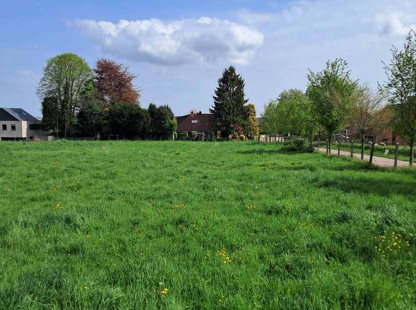 Deze bouwgronden voor open bebouwing staan te koop in het landelijke Herderen (Riemst). Ze staan in een rustige straat zonder doorgaand verkeer aan de