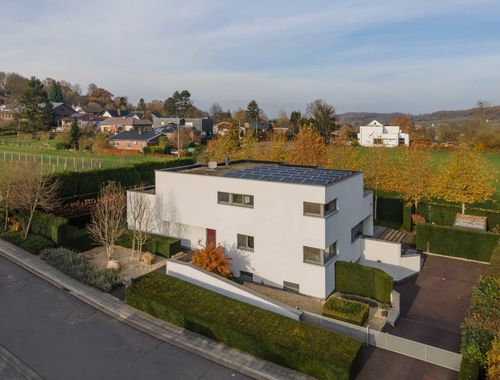                             Villa te koop in Eben-Emael
