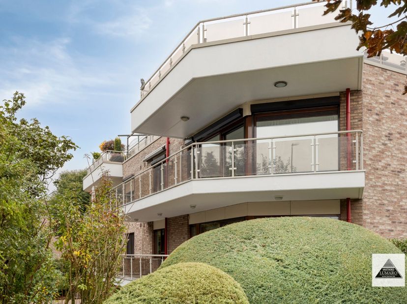 Super goed gelegen appartement aan de rand van het centrum van Maaseik, op wandelafstand van winkels en voorzieningen ligt dit royaal appartement. Teg