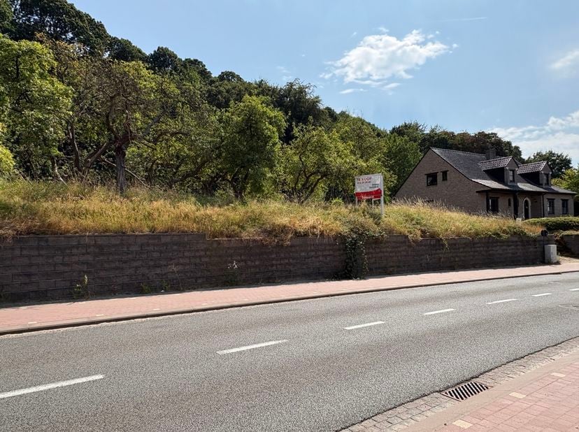 Deze mooie bouwgrond (halfopen bebouwing) is gelegen in de dorpskern en grenst aan de voet van de groene long van Leuven. Het perceel meet 5a15ca (lot
