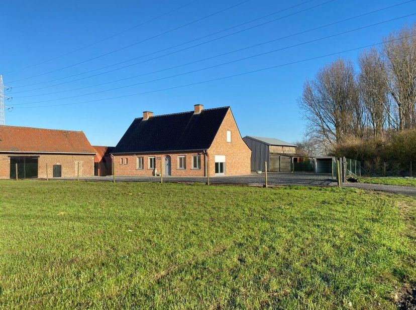 Maison à louer
                    à 8540 Deerlijk