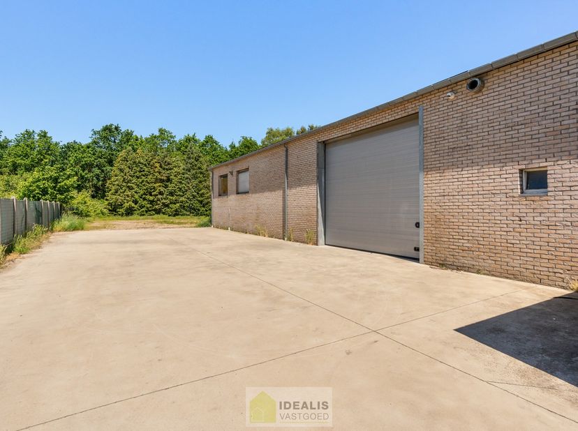IDEALIS VASTGOED – Ruim magazijn met conciërgewoning/kantoor op een perceel van +-16are. Het magazijn beschikt over een royale bruikbare oppervlakte (