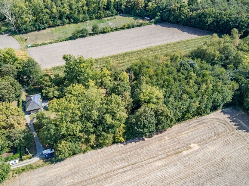 Bent u op zoek naar een stukje pure natuur in eigen land? Deze uitgestrekte bosgrond van 4.690 m² biedt u een zeldzame kans om eigenaar te worden van