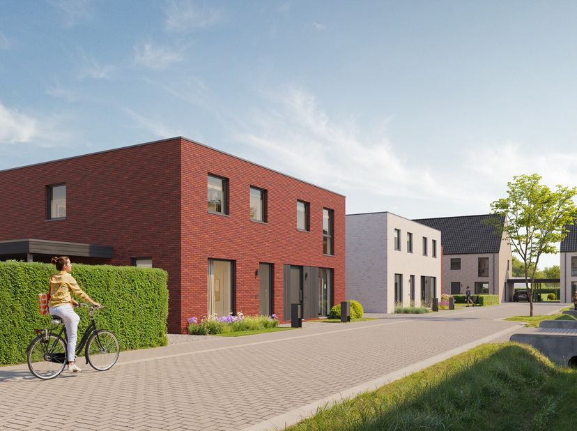 Project in Emiel Vanderveldestraat 134,
                    2830 Willebroek