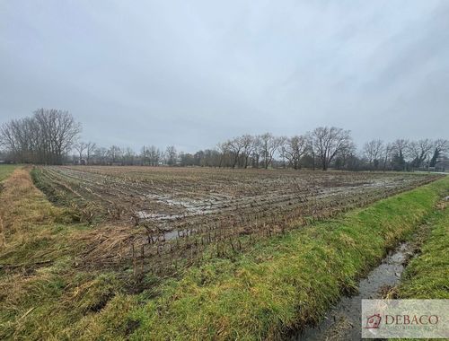                                         Landbouwgrond te koop in Beerzel, € 140.000
