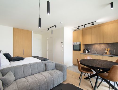                                         Appartement à louer à Antwerpen, € 1.200
