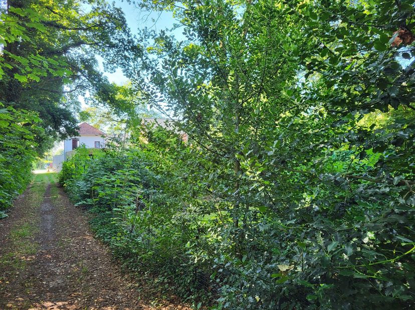 Te koop in Genk: (handels)huis - Hasseltweg 344<br />
Aan de Hasseltweg te Genk op een strategisch gelegen perceel van 6 are 30 centiare ligt dit pand