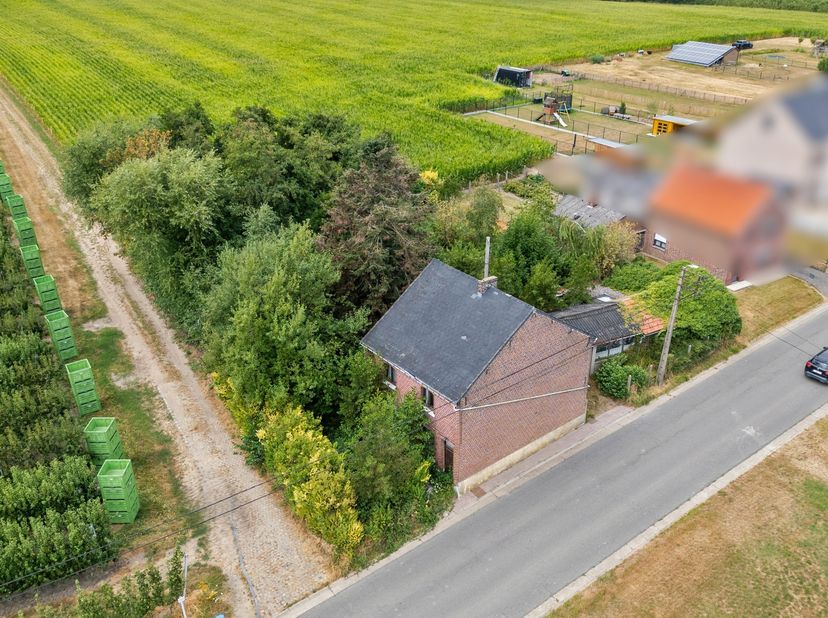 Terrain à vendre à Rode 30,
                    3380 Glabbeek-Zuurbemde