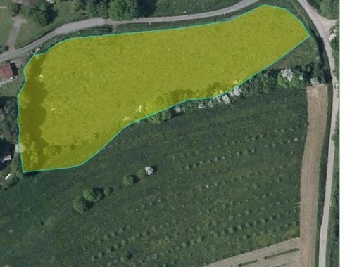                                         Bouwgrond te koop in Cerfontaine, € 321.000
