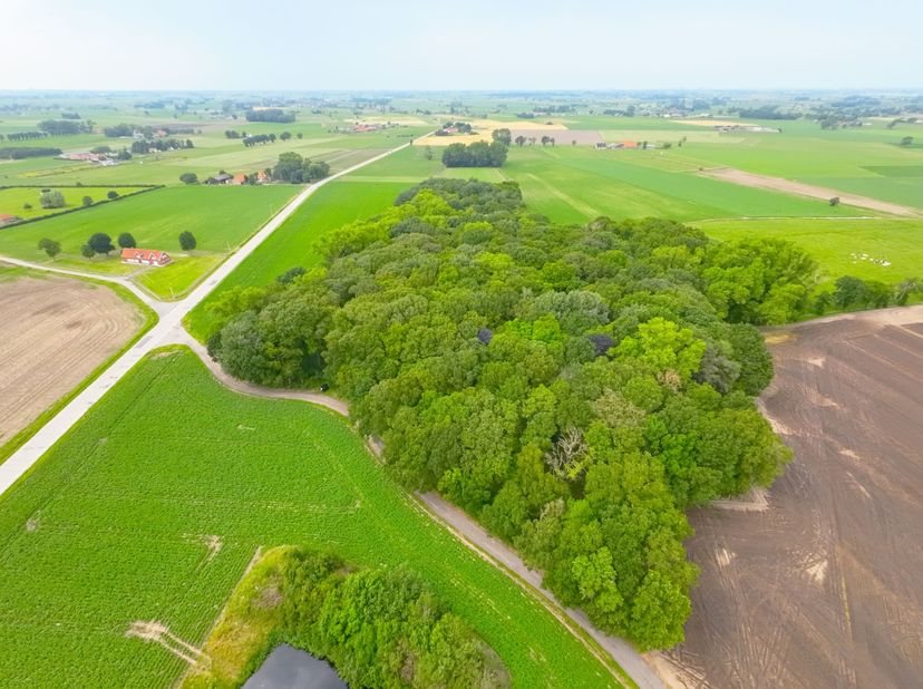 Tussen Vladslo en Leke, nabij Diksmuide, bieden wij u dit uitzonderlijke stukje natuurschoon aan. Dit perceel bos, gelegen in natuurgebied, meet een t