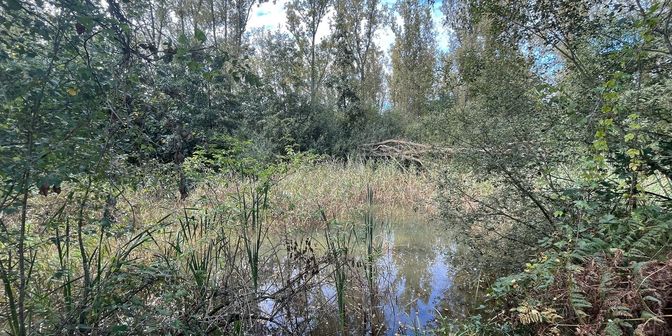 Terrain à vendre à Liersebaan, 2240 Zandhoven