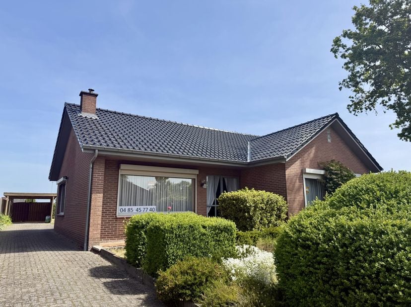 Maison à vendre
                    à 3990 Wijchmaal