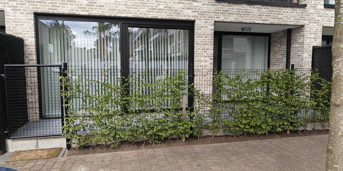 Appartement te huur in Pelserweg 5, 3590 Diepenbeek