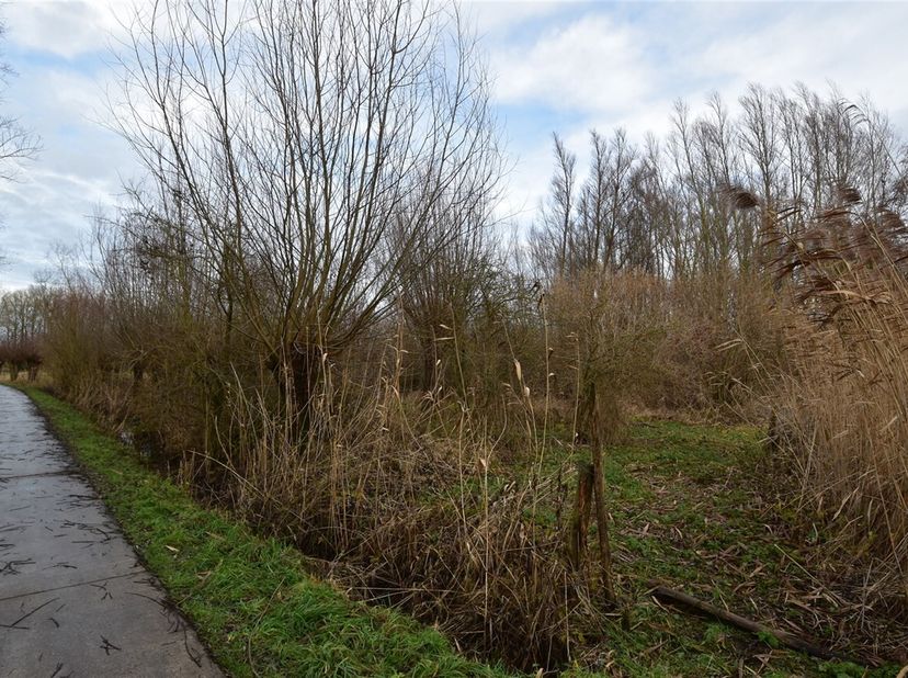 Bent u op zoek naar een rustig gelegen stukje natuur waar u volledig tot rust kunt komen? Dan is dit mooie perceel bosgrond in het landelijke Appels p