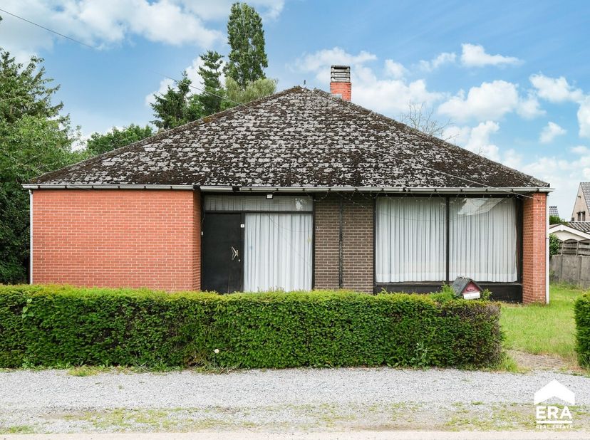 Te moderniseren gezinswoning op rustige toplocatie in Pelt.Op zoek naar een renovatieproject met tal van mogelijkheden? Deze gelijkvloerse woning uit