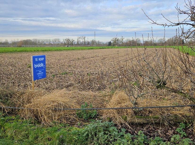 PERCEEL LANDBOUWGROND<br />
<br />
Een perceel landbouwgrond te Uikhoven (Maasmechelen), gelegen ter plaatse genaamd "Onderste Uyckhoven Veld", gekada