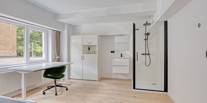 Kot-kamer te koop in Schapenstraat 66 - b bus 0106, 3000 Leuven