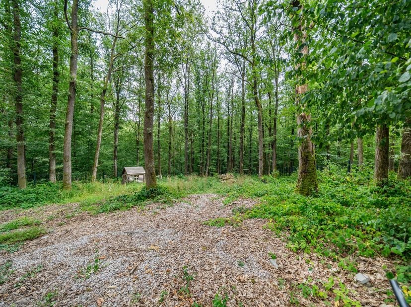 Grond te koop
                    in 5600 Neuville