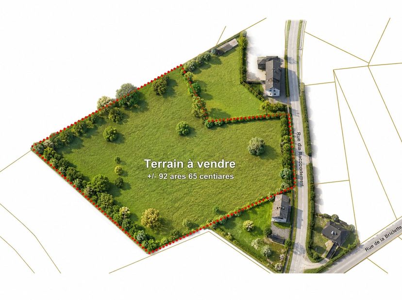 Gelegen in het hart van het charmante dorpje Brûly-de-Pesche, direct aan de Franse grens, zal dit prachtige perceel je veroveren met zijn rustige, gro