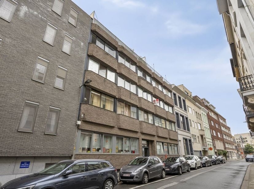 Le studio a une surface habitable de 32 m² et la salle de bain et la cuisine ont été récemment rénovées. L'appartement lui-même est situé au premier é