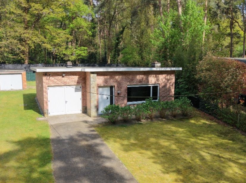 Terrain à vendre
                    à 2820 Rijmenam