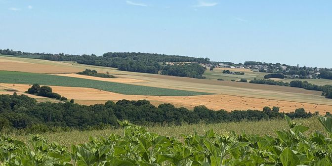 Terrain à vendre à 5540 Hastière-Lavaux