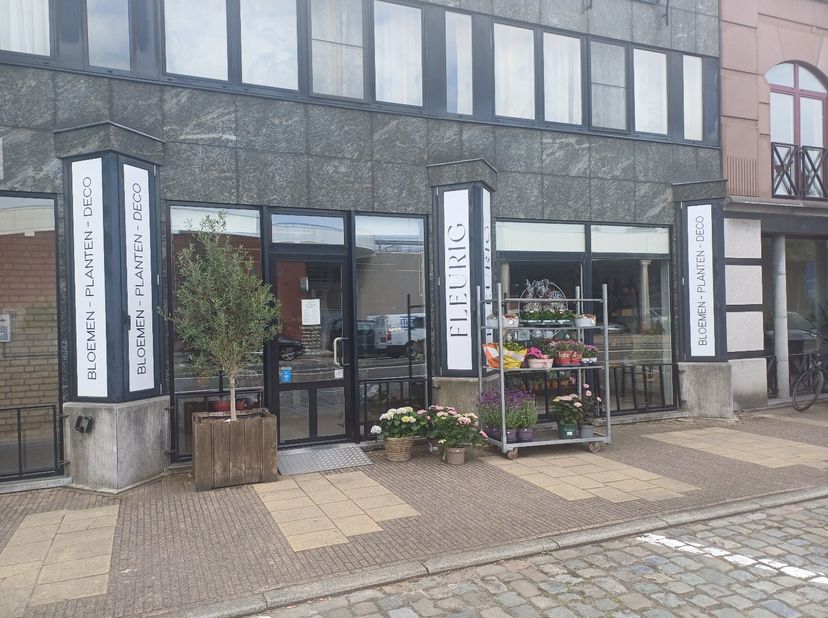 Bien professionnel à vendre
                    à 3910 Neerpelt