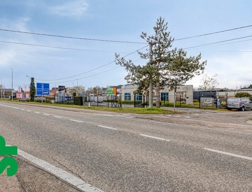                                         Usage mixte à vendre à Tessenderlo, € 799.000
