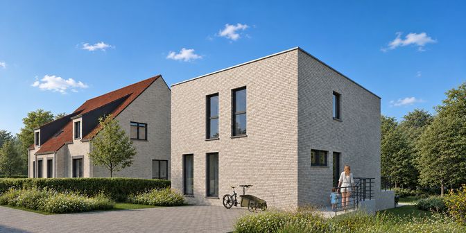Huis te koop in Hoge Buizemont 221, 9500 Overboelare