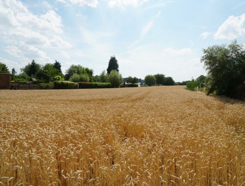                                         Bouwgrond te koop in Kessel-Lo, € 355.000
