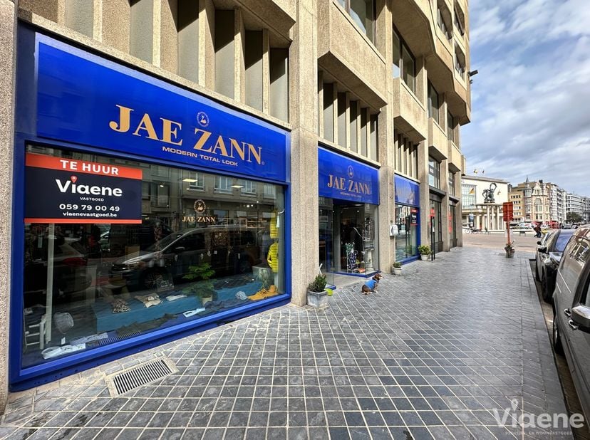 Bien professionnel à louer à Van Iseghemlaan 95,
                    8400 Oostende