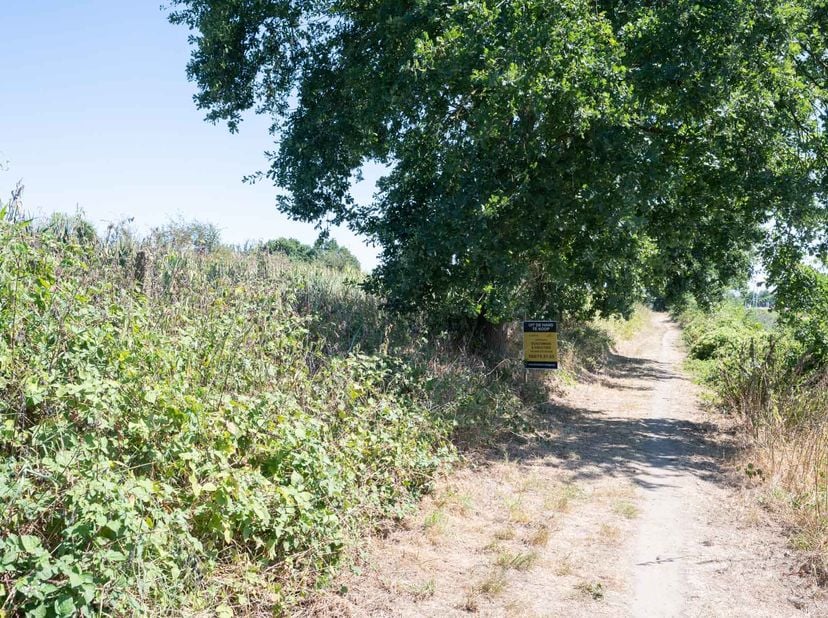 3 percelen landbouwgrond gelegen op een mooie locatie te Ophoven (Kinrooi), kort gelegen aan de Dalerweg, aan jachthaven "Marec".<br />
De percelen zi