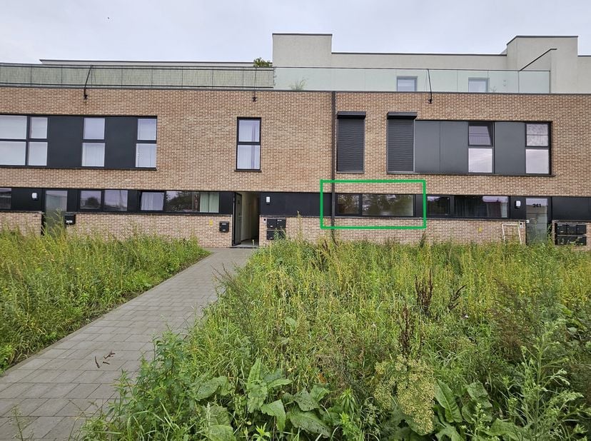 Appartement à louer
                    à 3650 Dilsen-Stokkem
