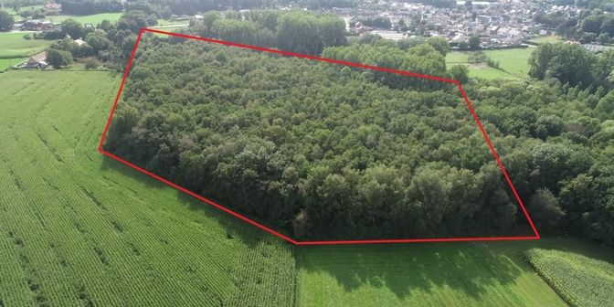 Terrain à vendre à 2560 Nijlen