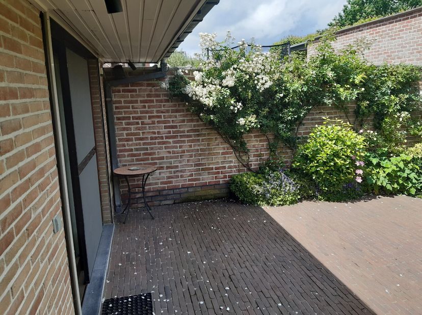 Maison à louer
                    à 9770 Kruishoutem